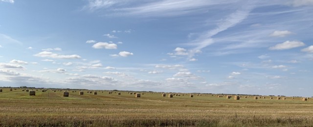 sask9